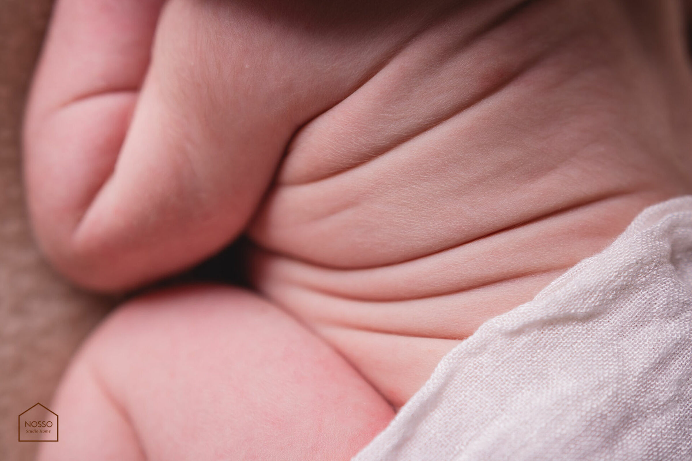 Foto de Beatriz Magri - Fot&oacute;grafa Newborn 20