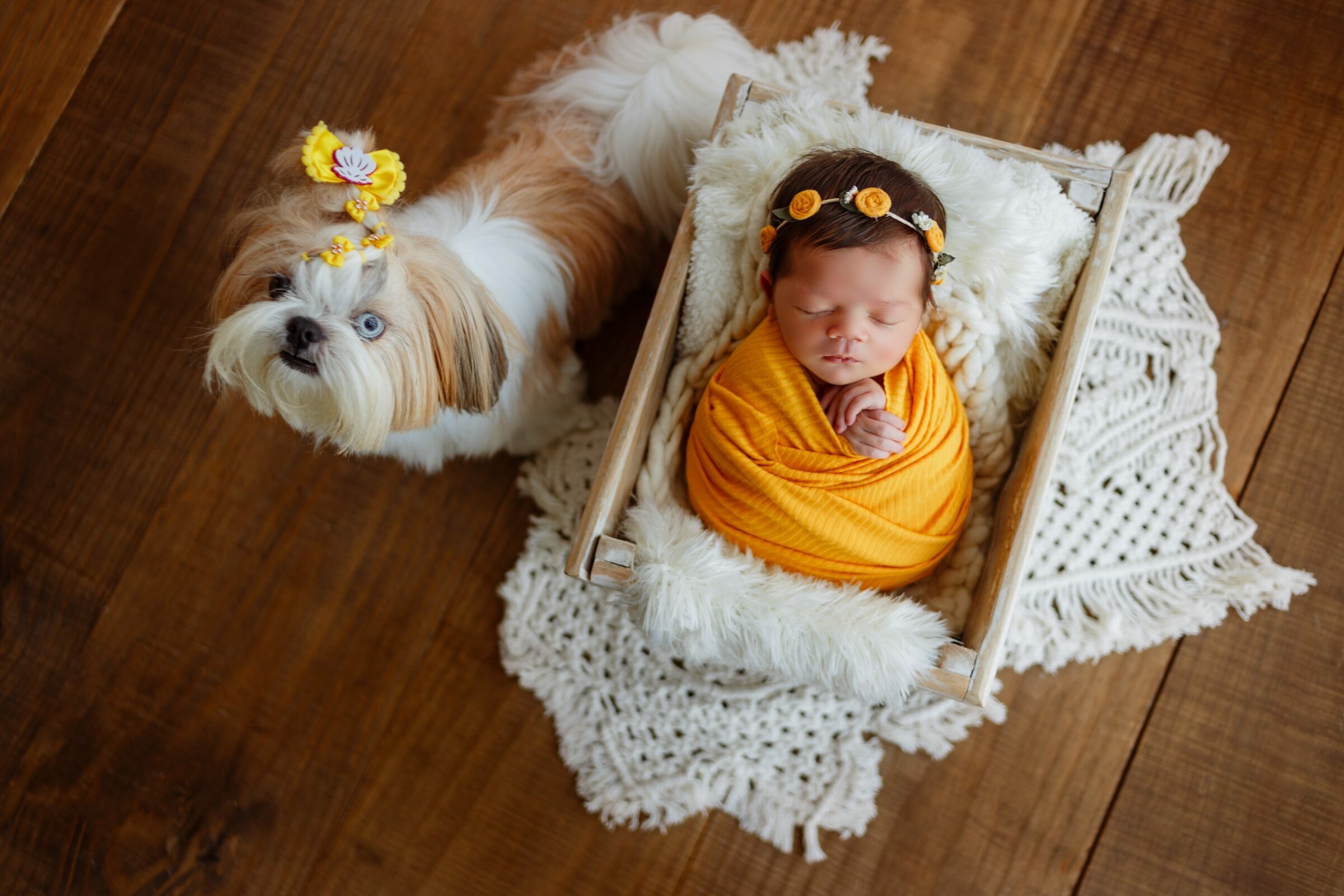 Foto de Beatriz Magri - Fot&oacute;grafa Newborn 11