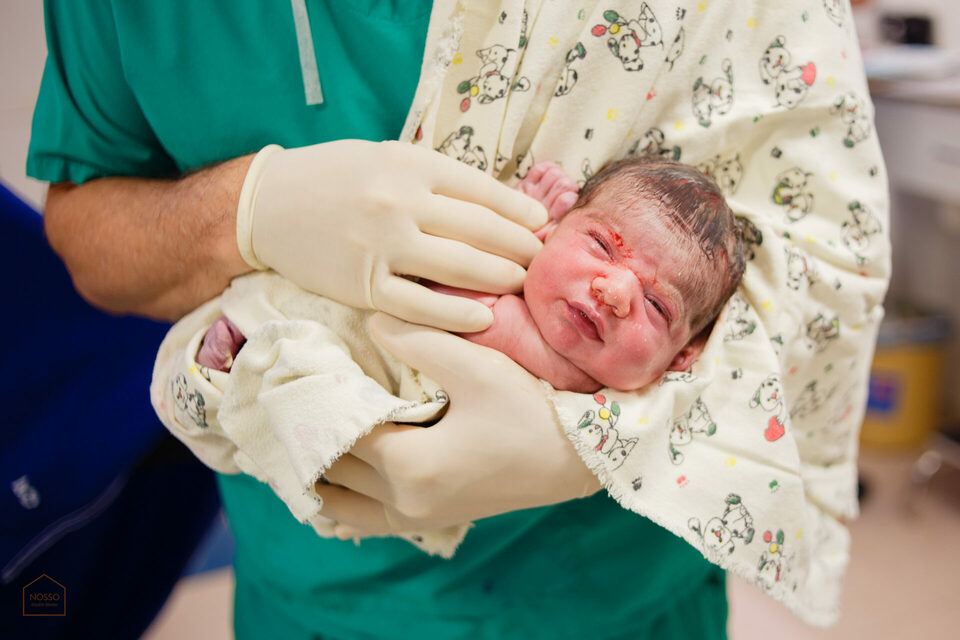 Nascimento José Lucca