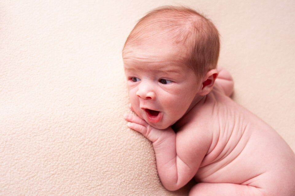 Ensaio Davi - newborn